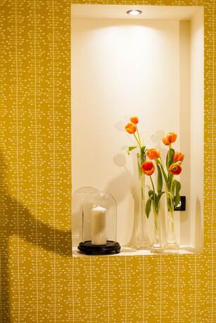 Imagen general del Hotel La Maison Volver. Foto 9