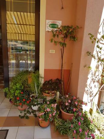 Imagen de la habitación del Hotel La Margherita, Diano Marina. Foto 9