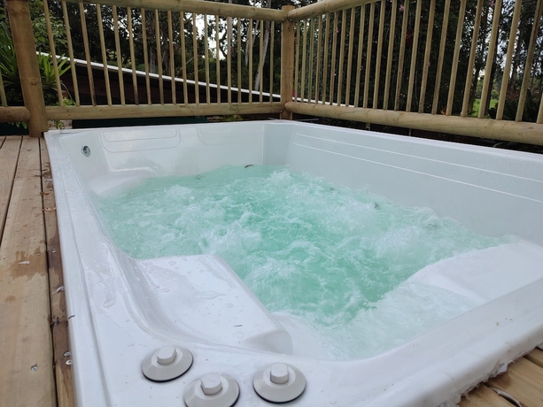 Imagen de la piscina del Hotel La Martina Campestre. Foto 19