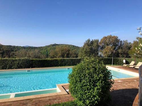 Imagen de la piscina del Hotel La Melosa Resort and Spa. Foto 5