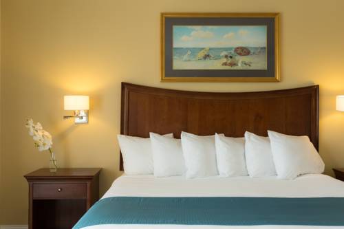 Imagen de la habitación del Hotel La Mer Beachfront Resort. Foto 7