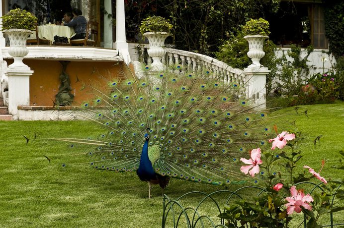 Imagen de la habitación del Hotel La Mirage Garden Hotel And Spa. Foto 11