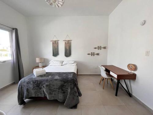 Imagen de la habitación del Hotel La Mona Loiza Apartments Complex. Foto 8
