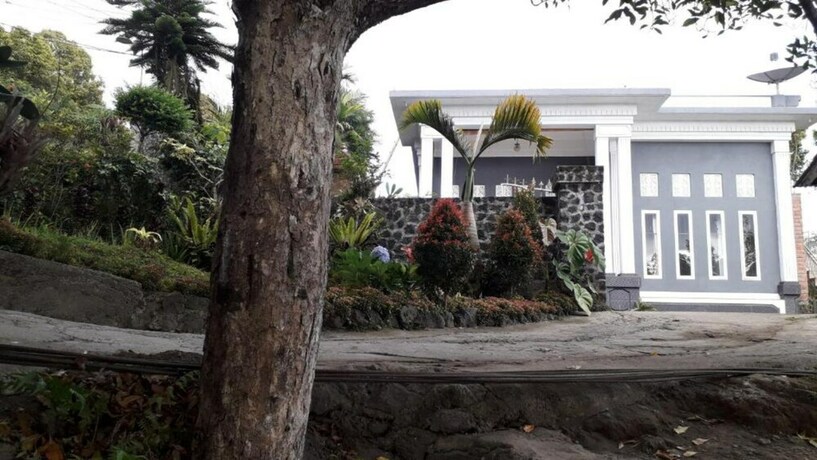 Imagen general del Hotel La Montana. Foto 7