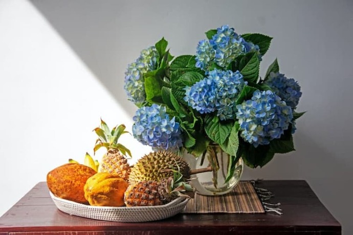 Imagen general del Hotel La Montana. Foto 9