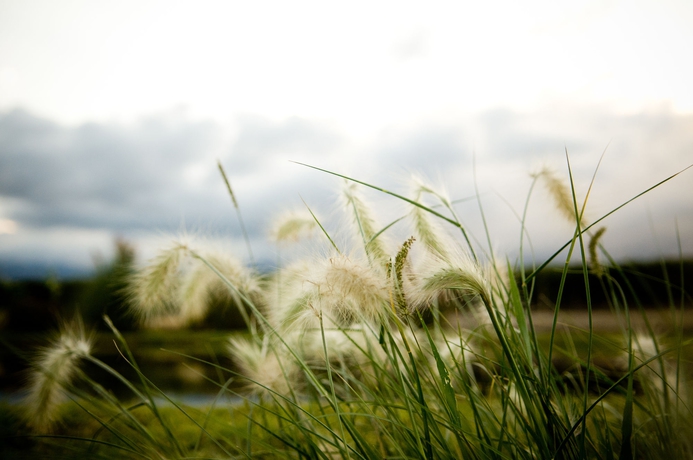 Imagen de los exteriores del Hotel La Morada Lodge. Foto 13