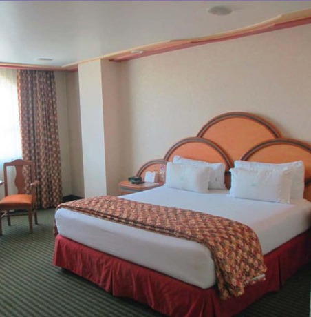 Imagen general del Hotel La Muralla, Toluca. Foto 4