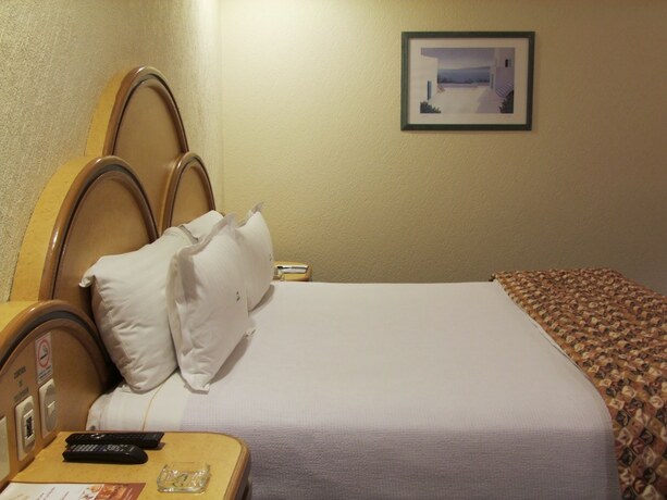 Imagen general del Hotel La Muralla, Toluca. Foto 18