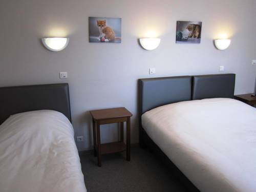 Imagen de la habitación del Hotel La Paix. Foto 11