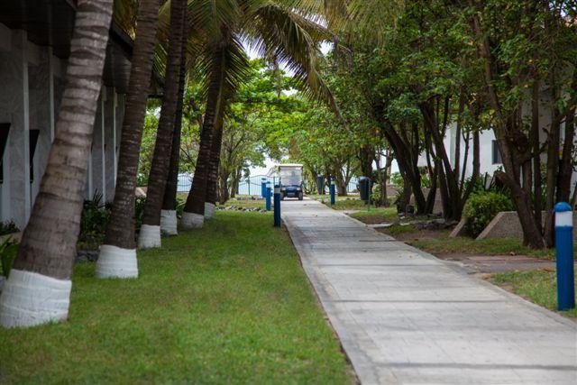 Imagen general del Hotel La Palm Royal Beach. Foto 15