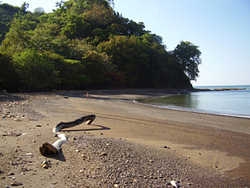 Imagen de los exteriores del Hotel La Palmera, Jac&oacute;. Foto 6
