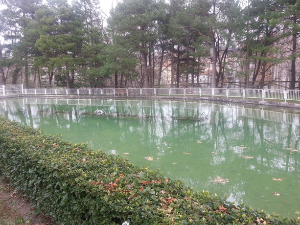 Imagen de los exteriores del Hotel La Pardina. Foto 7