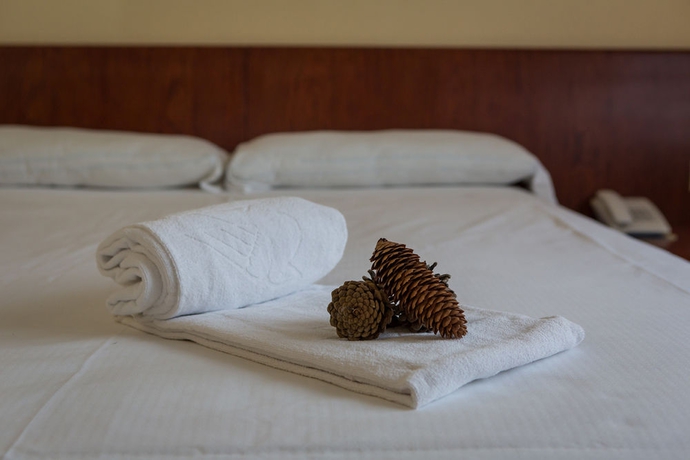 Imagen de la habitación del Hotel La Pardina. Foto 4