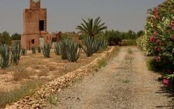 Imagen de los exteriores del Hotel La Parenthese De Marrakech. Foto 5