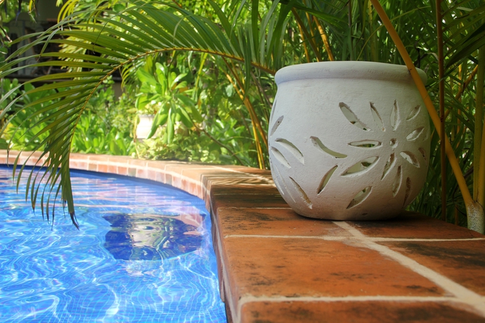 Imagen de la piscina del Hotel La Pasion Boutique By Bunik. Foto 13