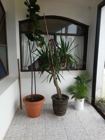 Imagen de los interiores del Hotel La Pedrera. Foto 18