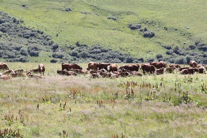 Imagen de los exteriores del Hotel La Perelle. Foto 11