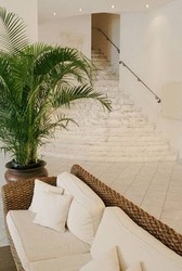 Imagen general del Hotel La Pigna, Marina Di Pietrasanta. Foto 11