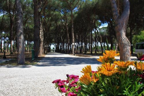 Imagen general del Hotel La Pineta Dei Liberti. Foto 2