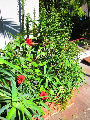 Imagen de los exteriores del Hotel La Piramide, Costa de Sicilia. Foto 10