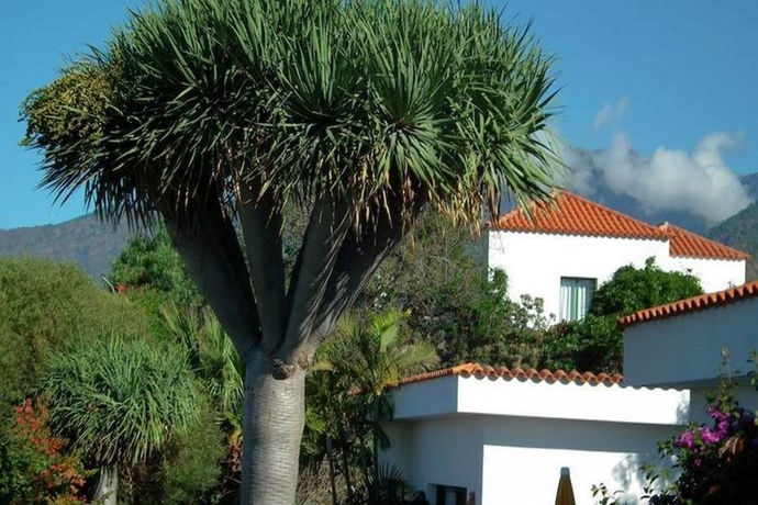 Imagen general del Hotel La Plantaci&oacute;n, Las Manchas. Foto 5