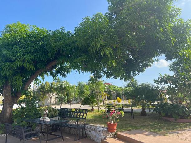 Imagen general del Hotel La Plumerias. Foto 15