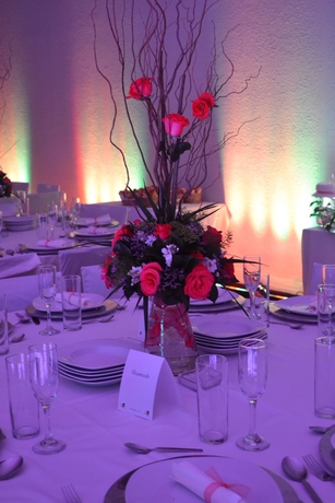 Imagen de los interiores del Hotel La Posada, Apizaco. Foto 14