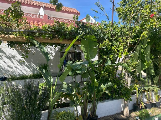 Imagen general del Hotel La Posada de Trafalgar. Foto 4