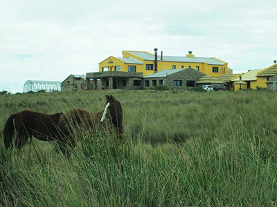 Imagen de los exteriores del Hotel La Posta del Qenti. Foto 7