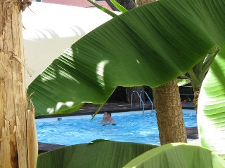 Imagen de la piscina del Hotel La Primula, Marciana Marina. Foto 9