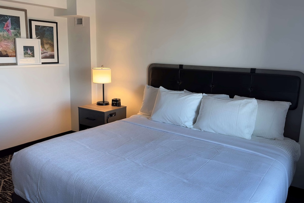 Imagen de la habitación del Hotel La Quinta By Wyndham Chicago O'hare Airport. Foto 8