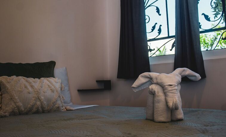 Imagen de la habitación del Hotel La Quinta Caribe&ntilde;a. Foto 16