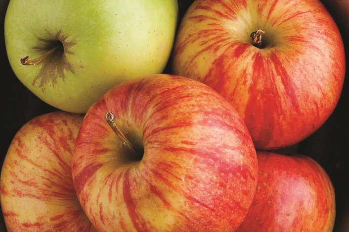 Imagen de los interiores del Hotel La Quinta Inn And Suites By Wyndham Livingston. Foto 15