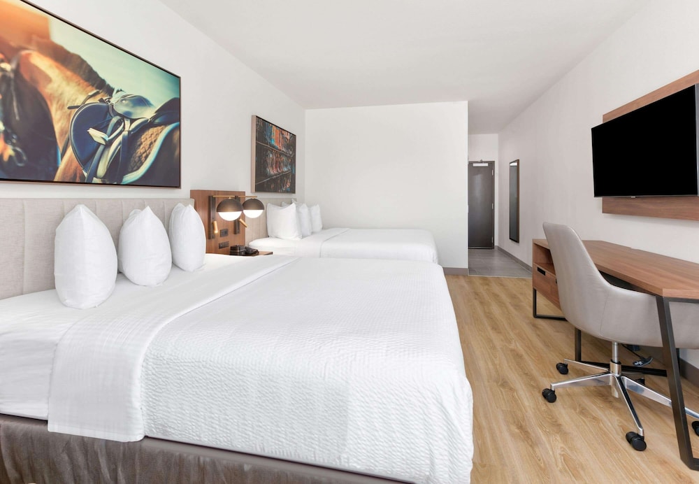 Imagen de la habitación del Hotel La Quinta Inn And Suites By Wyndham Terrell. Foto 8