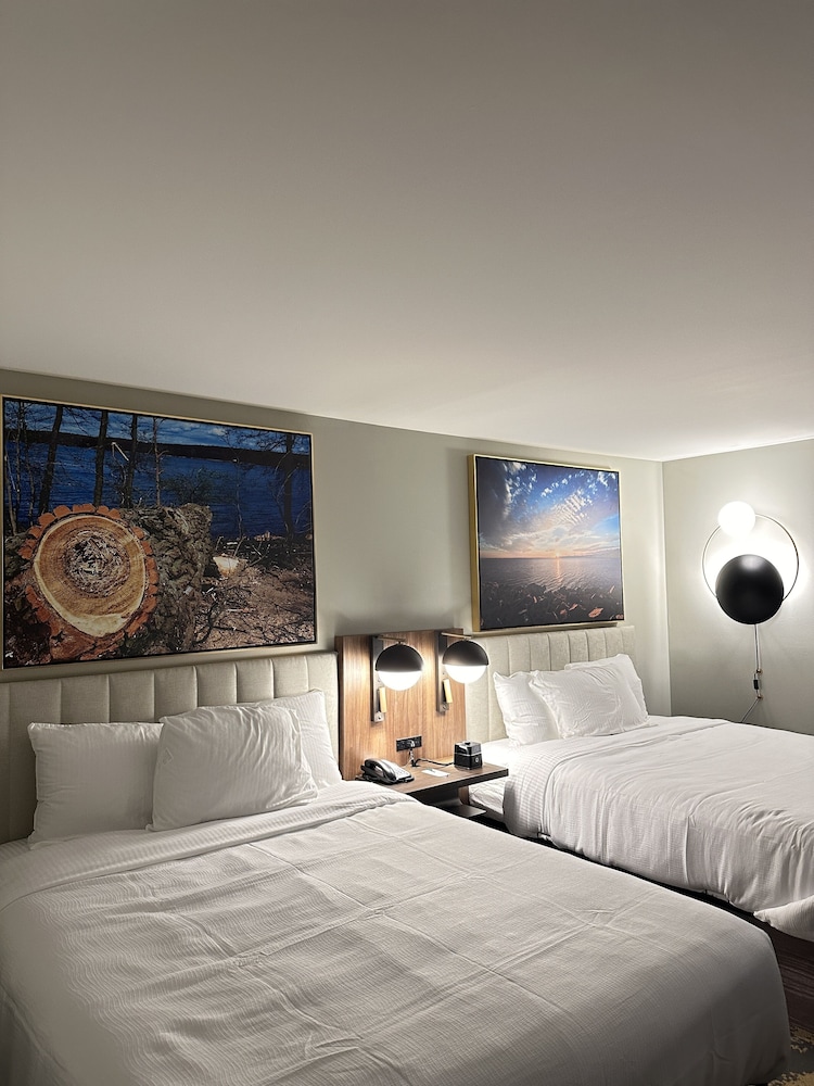 Imagen de la habitación del Hotel La Quinta Inn By Wyndham Columbia Ne/fort Jackson. Foto 13