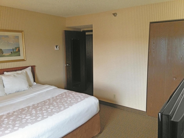 Imagen de la habitación del Hotel La Quinta Inn By Wyndham Detroit Southgate. Foto 4