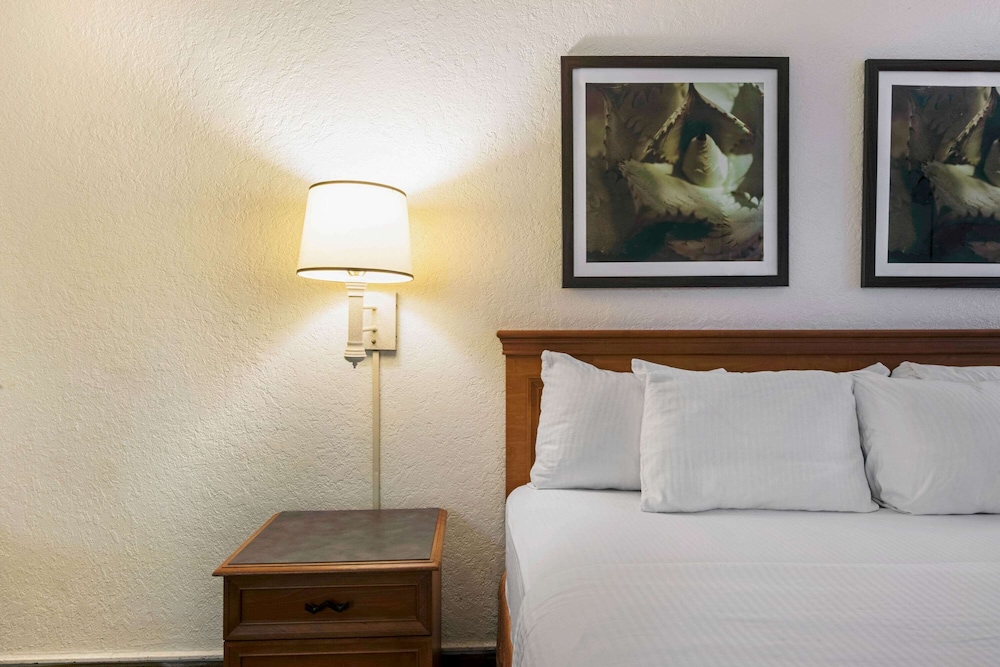 Imagen de la habitación del Hotel La Quinta Inn By Wyndham San Antonio I-35 N At Rittiman Rd. Foto 3