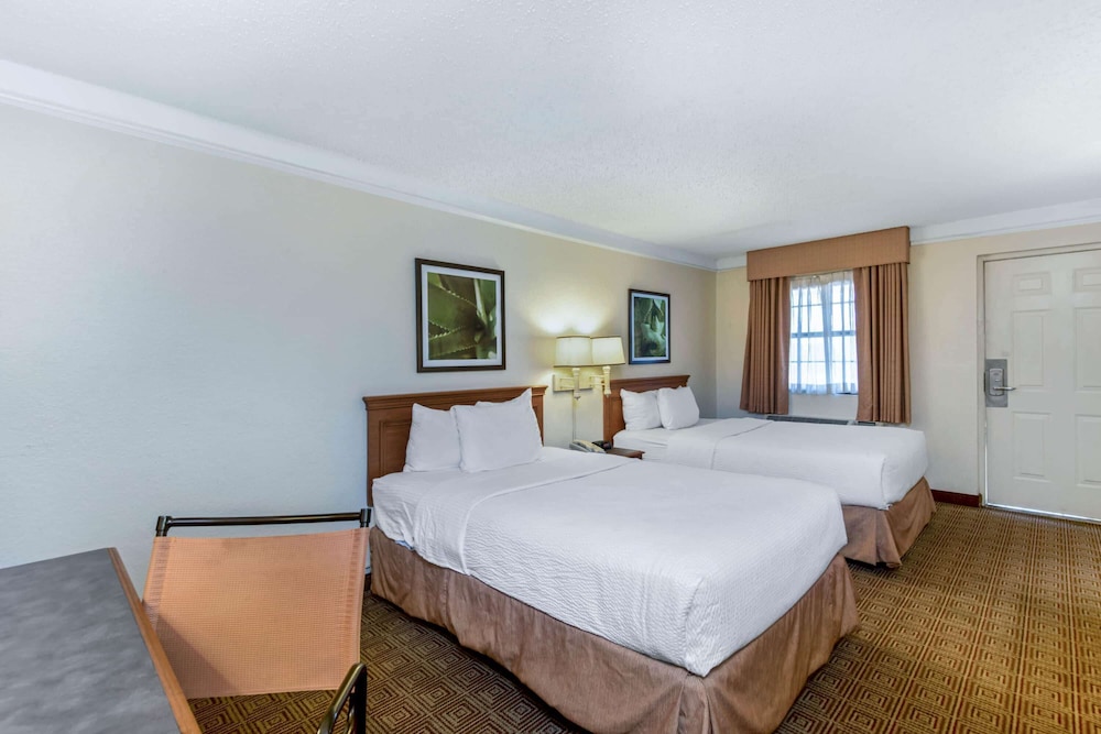 Imagen de la habitación del Hotel La Quinta Inn By Wyndham San Antonio I-35 N At Rittiman Rd. Foto 9