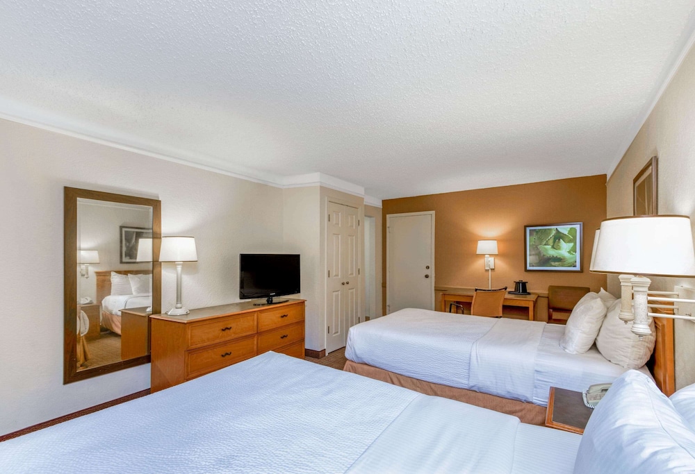 Imagen de la habitación del Hotel La Quinta Inn By Wyndham San Antonio I-35 N At Rittiman Rd. Foto 15