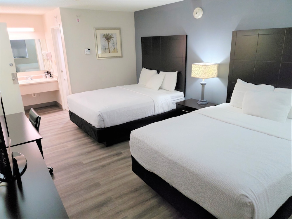 Imagen de la habitación del Hotel La Quinta Inn By Wyndham Tampa Near Busch Gardens. Foto 3