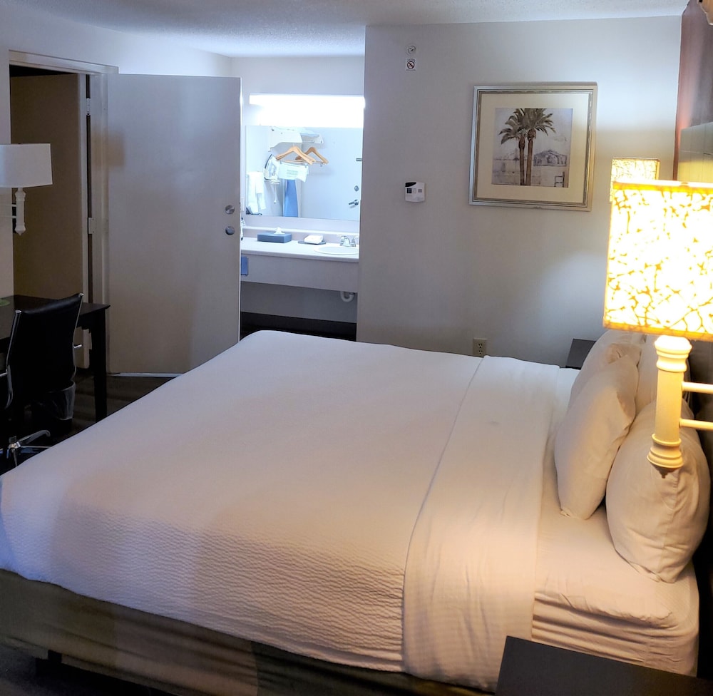 Imagen de la habitación del Hotel La Quinta Inn By Wyndham Tampa Near Busch Gardens, Temple Crest. Foto 4