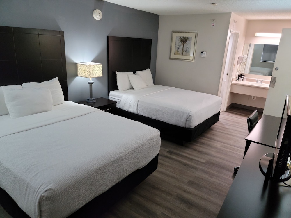 Imagen de la habitación del Hotel La Quinta Inn By Wyndham Tampa Near Busch Gardens, Temple Crest. Foto 9