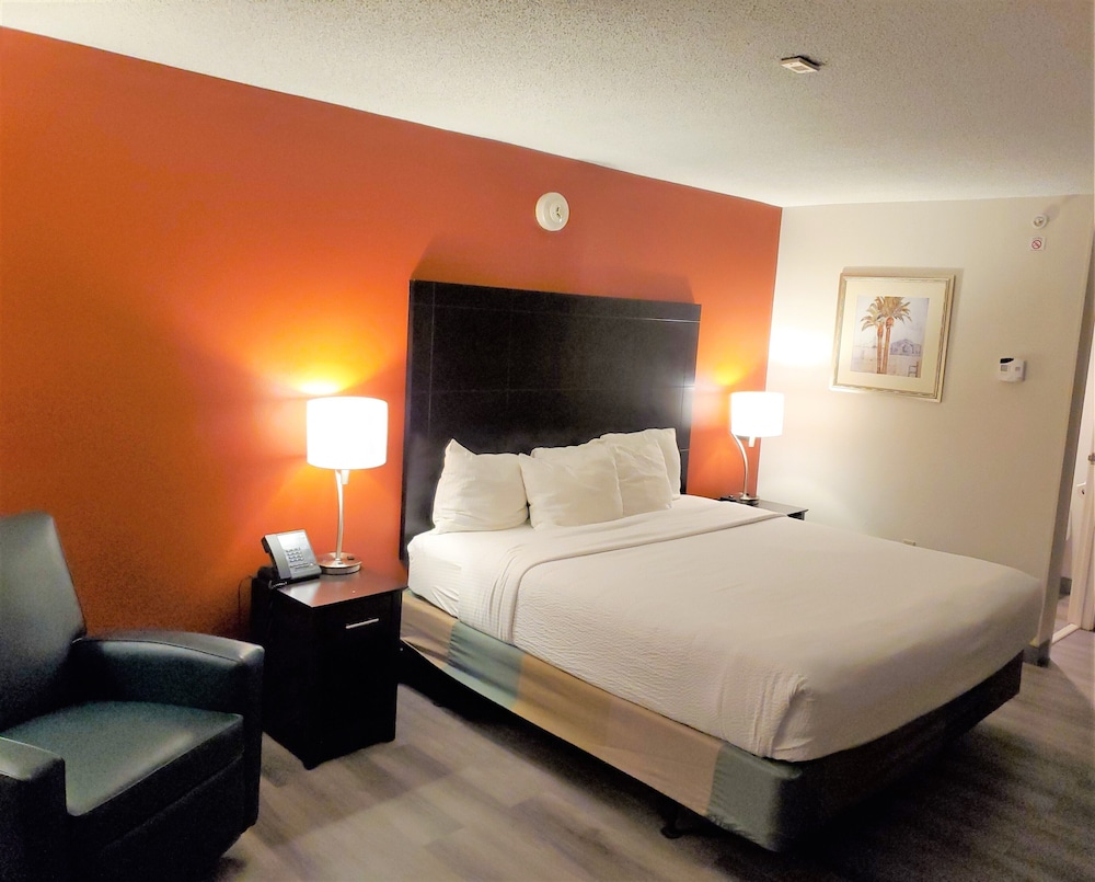 Imagen de la habitación del Hotel La Quinta Inn By Wyndham Tampa Near Busch Gardens, Temple Crest. Foto 17