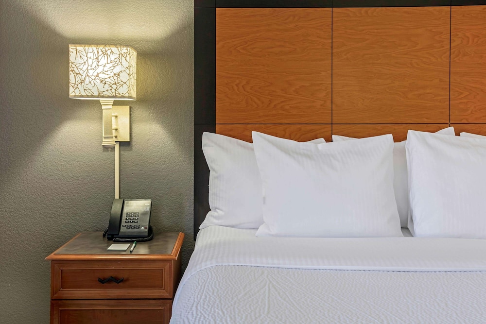 Imagen de la habitación del Hotel La Quinta Inn & Suites by Wyndham Dallas Arlington South. Foto 3