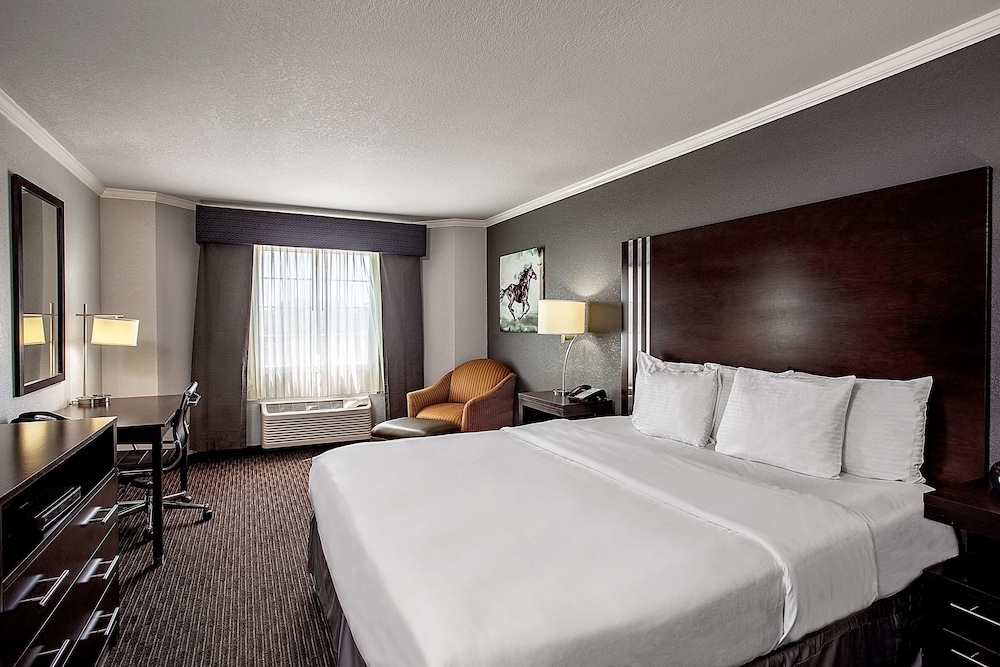 Imagen de la habitación del Hotel La Quinta Inn & Suites by Wyndham Davis. Foto 5