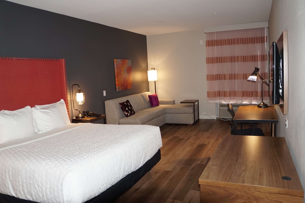 Imagen de la habitación del Hotel La Quinta Inn & Suites by Wyndham Lewisville. Foto 10