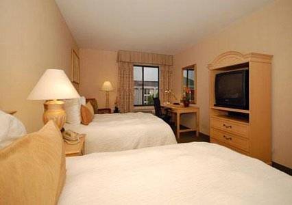 Imagen de la habitación del Hotel La Quinta Inn & Suites by Wyndham South Holland. Foto 9