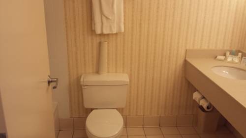 Imagen de la habitación del Hotel La Quinta Inn & Suites by Wyndham South Holland. Foto 12