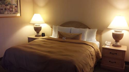 Imagen de la habitación del Hotel La Quinta Inn & Suites by Wyndham South Holland. Foto 13
