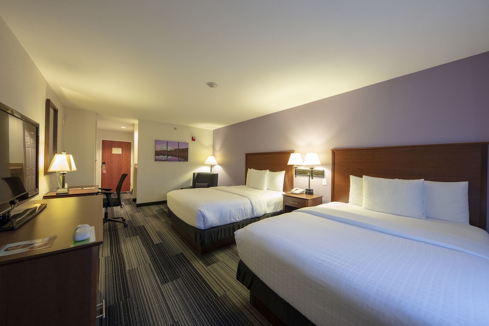 Imagen de la habitación del Hotel La Quinta Inn & Suites by Wyndham Springfield Airport Plaza. Foto 10